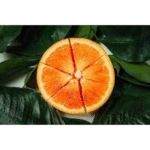 HUILE DE MODELAGE ORANGE PEKEO (APAISANTE) 1L