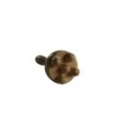 MADEROSPA CHAMPIGNON CAPORAL PETIT 5 POINTS MD3 CORPS